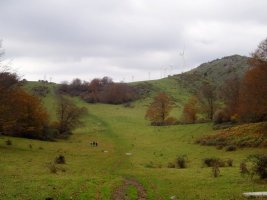 Tontorra eta inguruko larreak