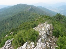 Mendebaldeko ikuspegia