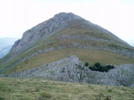 Auntzizegitik ikusita