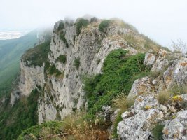 Mendebaldeko gandorraren ikuspegia