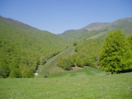 Morateko lepoa eta Egurgi aterpea