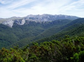 Iparrekialdera ikuspegia Zurkuntzetik