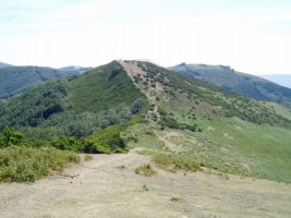 Zurkuntzetik ikusita