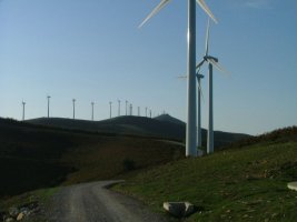 OIZ ZENGOTITAGANATIK