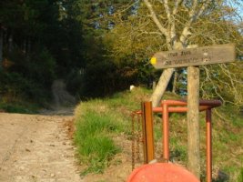 ZENGOTITA AUZOTIK HARTU BEHAR DEN BIDEA