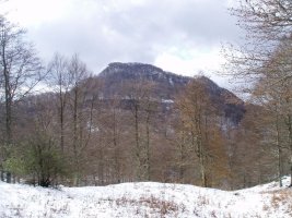 Iparraldetik ikusita