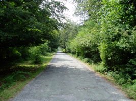 Bihoitzatik Otsoportilora doan bidea