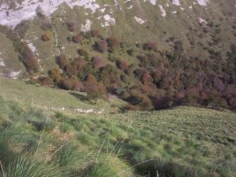 Sendanegratik behera begira