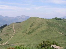 Espaldaseca Trasmosomostik