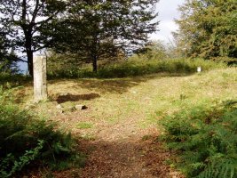 Irumugarrietako tontorra