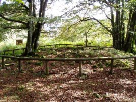 Zelatamuño trikuharria