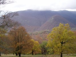 Txaradigorri laino artean Allekoren maldetatik ikusita