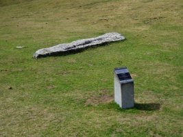 Saltarri zutarria Alotzan