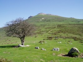 Tontorra Soroluzetik ikusita