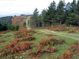Mendebaldeko ikuspegia tontorretik
