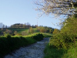 Tontorra hegoaldetik ikusita