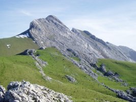 Aizkorritxotik ikusita