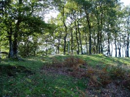 Arranoaitzeko tontorra