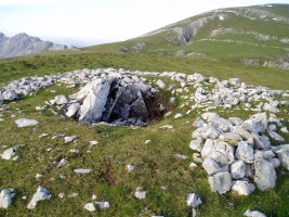 Artzanburu trikuharria