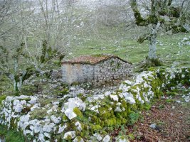 Artzai txabola bat Harri Urdin iturritik gertu