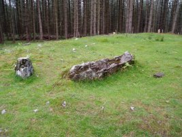 Otsolepoko trikuharria