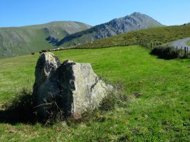 Trikuarria Armiagako hegian