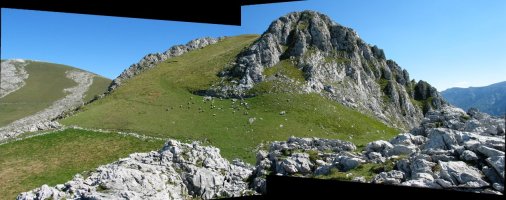 Haritxarteko lepotik ikusita