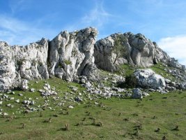 Tontorra Kurutzebarri aldetik ikusita