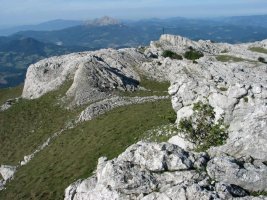 Kurutzebarri aldeko ikuspegia tontorretik