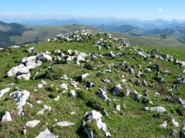 Tontorrean karraitz mutur batzuk besterik ez