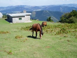 Zabalaundiko aterpea