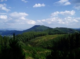 Gorla ingurutik ikusita