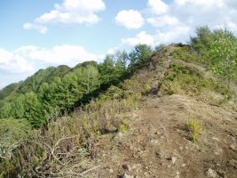 Mendebaldeko gandorreko pasarte bat