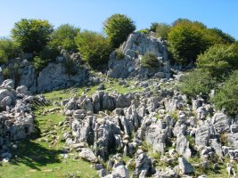 Ekialdeko bizkarreko igoera