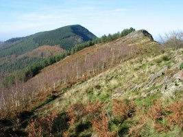 IMko hegia, hondoan Urdelar duela