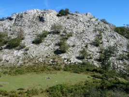 Andarto Txiki Andartotik ikusita