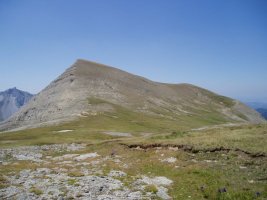 Kinboa Bajua ekialdetik ikusita