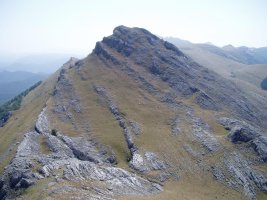 Butreaitzetik ikusita