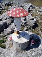 Errikoaitzako buzoia