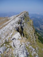 Kurtzezar hegoekialdetik ikusita