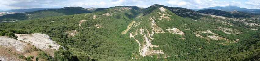 Amaritu aldetik ikusita