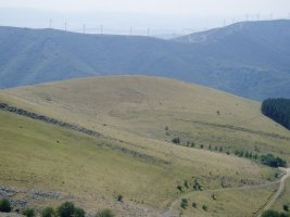 Arriurdinetik ikusita