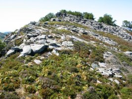 Tontorra Iparraldeko bizkarretik