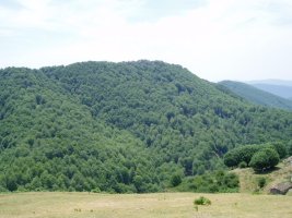 Ipar-ekialdetik ikusita