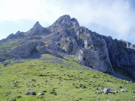 Artola lepotik ikusita