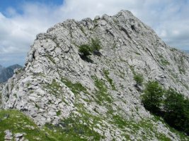 Ekialdeko gandorraren hasiera Larrano aldean