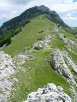 Larranoko lepoaren ikuspegia Larranoko tontorretik