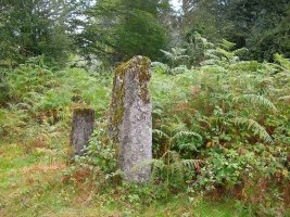 Otro par de mugarris...