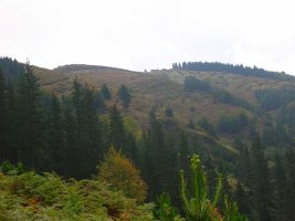 La cumbre ya se divisa cercana.