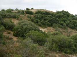 Gainaren inguruak, Apodaka aldeko bidetik